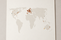 World Map Print - Add-on